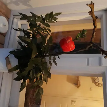 Hello Semesterbostad Bogács