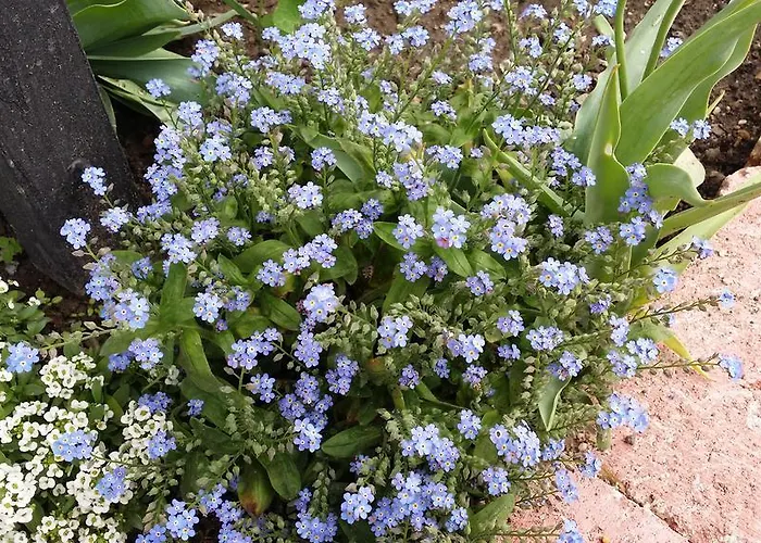 בית נופש Hello Bogács