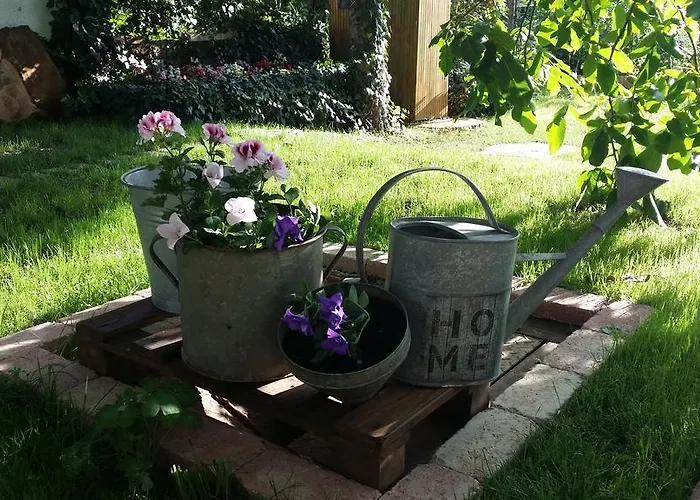 בית נופש Hello